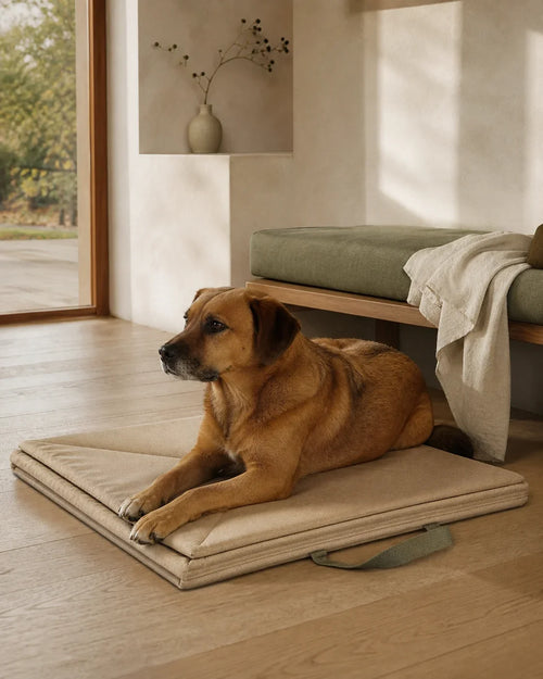 WAGBEAN Settle travel mat concept