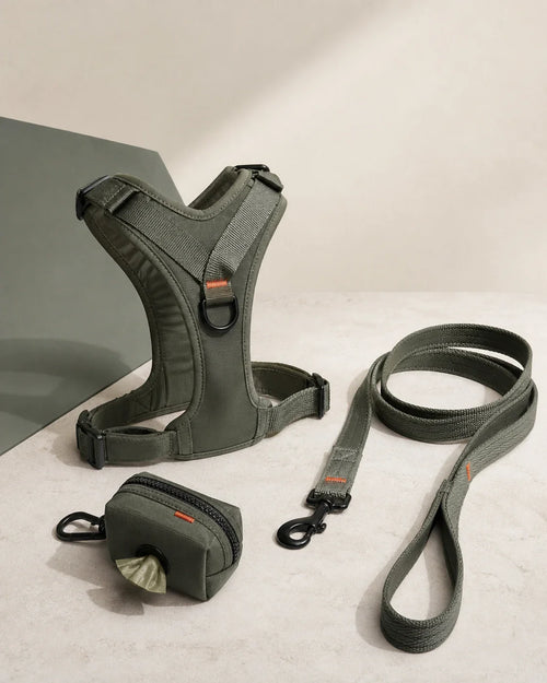 WAGBEAN Walk system concept